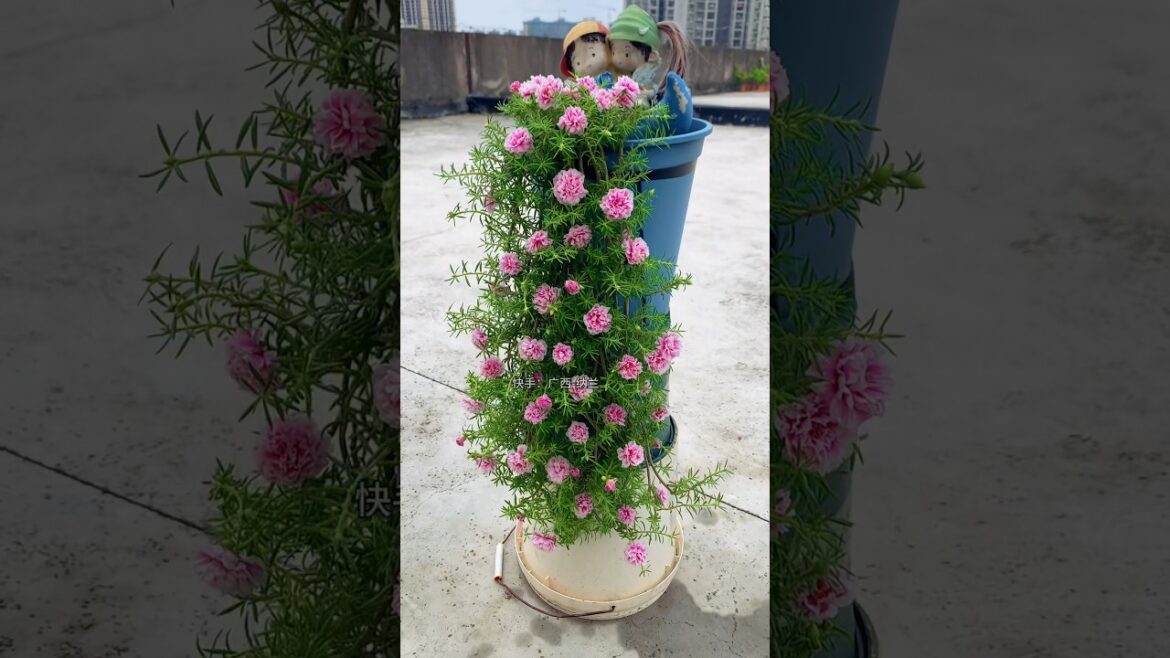 Simple Garden design ideas, #gardening #shorts #flowers