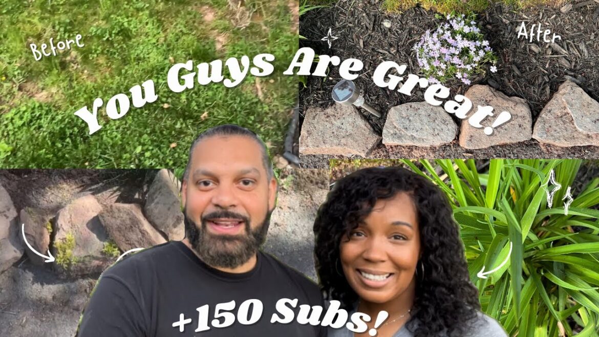 Landscaping Ideas for the Front Yard Part 2/Driveway Makeover/ +150 Subs! Landscaping Ideas for the Front Yard Part 2/Driveway Makeover/ +150 Subs!