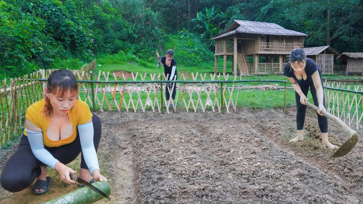 The Girl Leave The Noisy City To The Countryside: Vegetable gardening growing vegetables