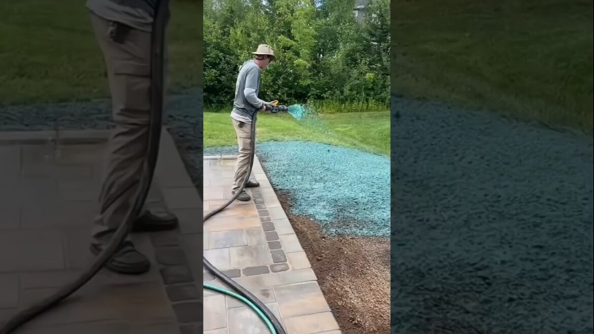 A Magic Technique to Grow Grass from Seeds Fast (you WON'T believe THIS!)