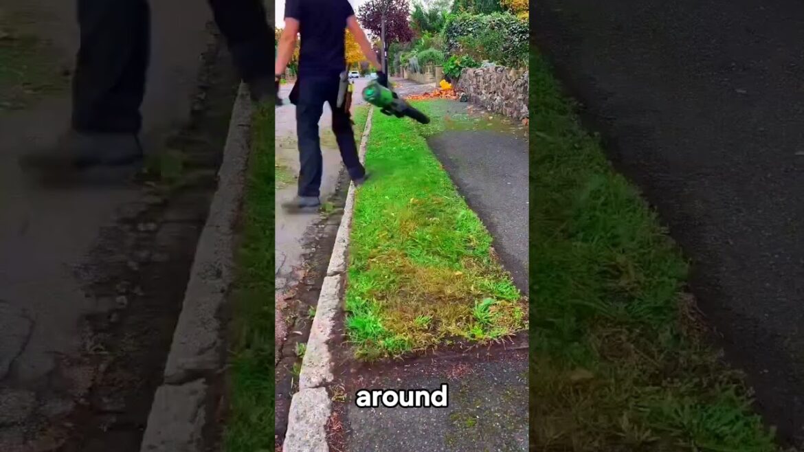 Satisfying Gardening Work 🌳 #garden #gardening #satisfying #cleaning  #grass #lawn #viral #fyp #55