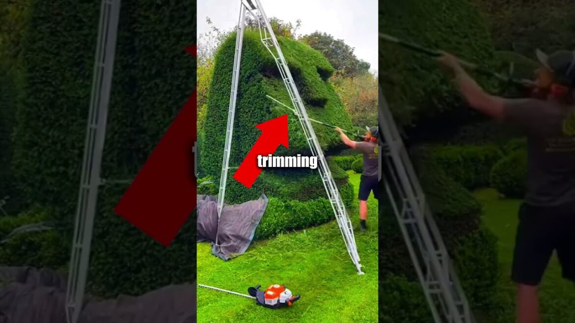 The BEST gardener you NEED! 🤩🤩 #satisfying #cleaning