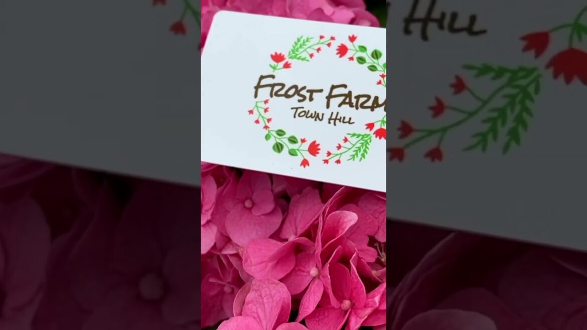 Give the Gift of Gardening: Frost Farms Gift Cards for Every Occasion #gardening #garden #maine