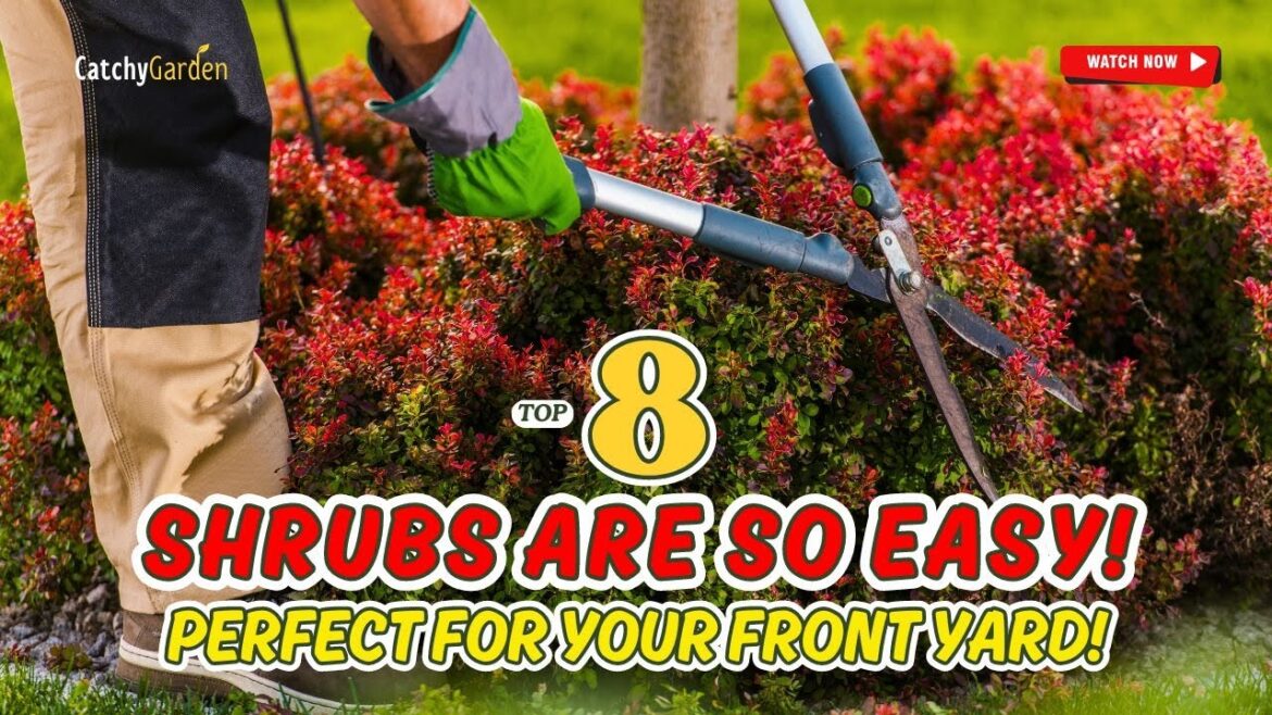 😲 These 8 Shrubs Are SO EASY! 🌿 Perfect for Your Front Yard! 🌸 // Gardening Ideas