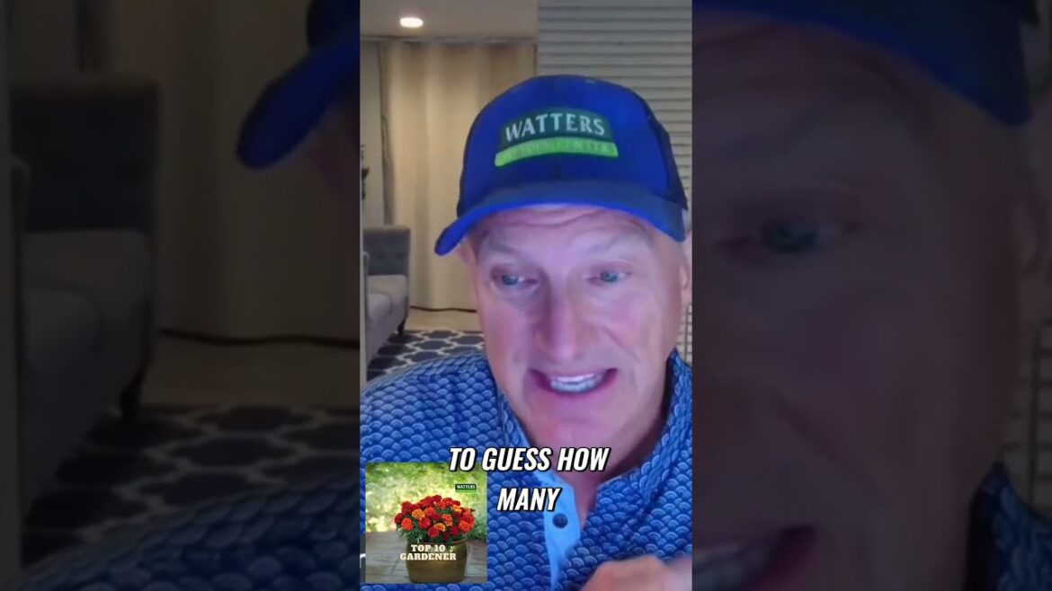 Essential Tips for Year Round Gardening Success Essential Tips for Year Round Gardening Success