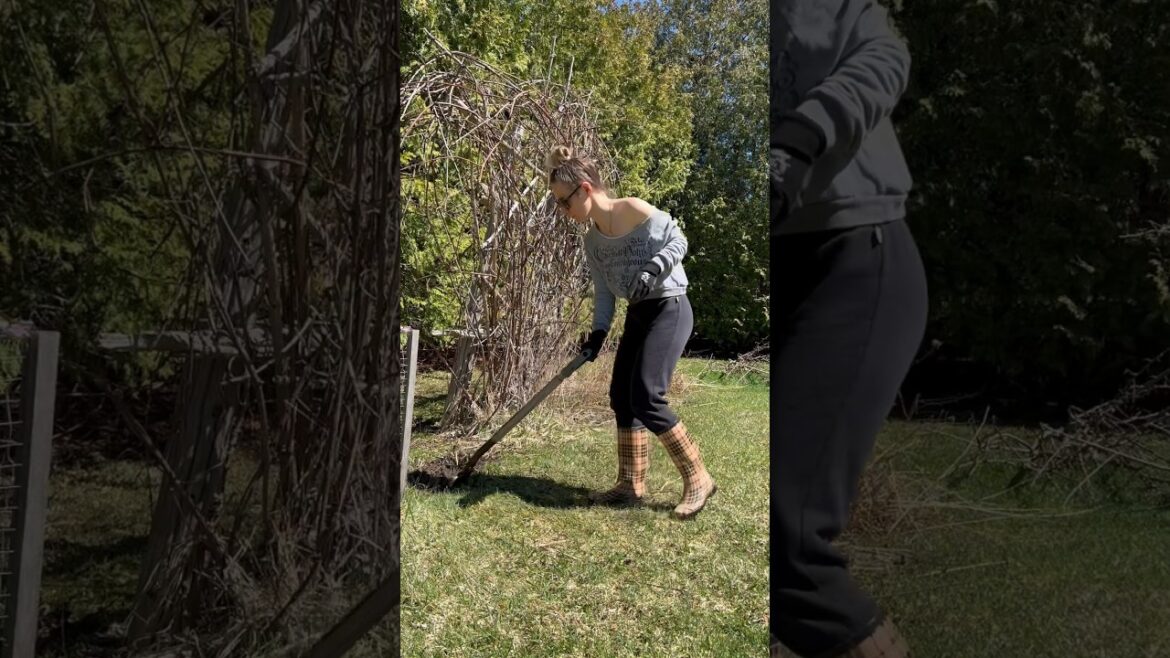 Expanding my wildflower garden #cottagecore #gardening #wildflowers #spring