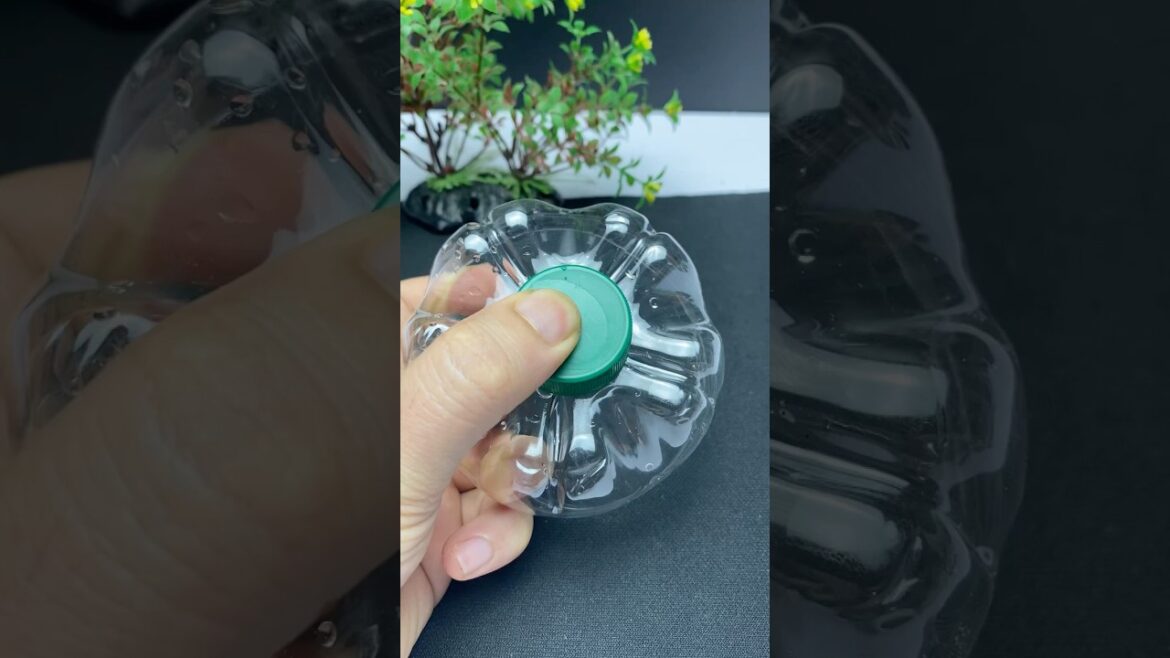 Super ideas for Your garden! #diy #diygarden #short #ideas Super ideas for Your garden! #diy #diygarden #short #ideas