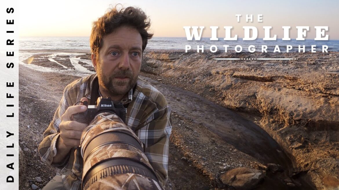 Backyard Photo Adventure – Landscapes, Birds and German Bunkers Backyard Photo Adventure - Landscapes, Birds and German Bunkers