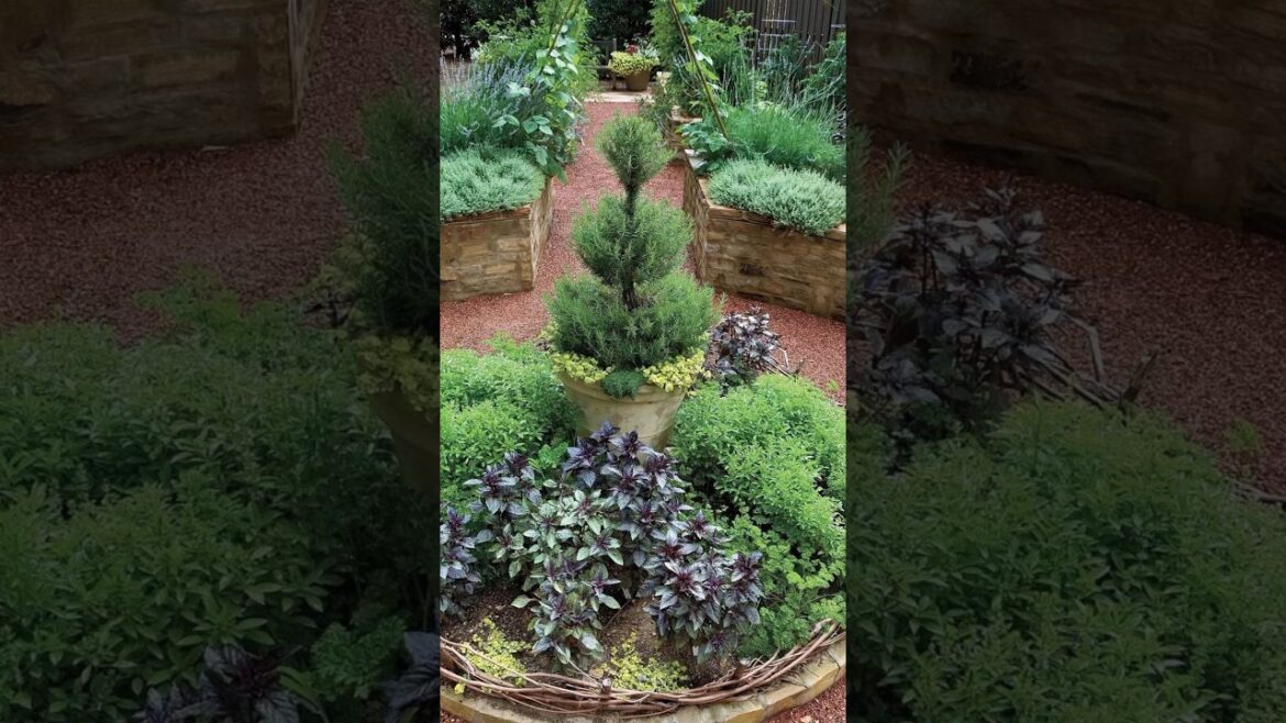 Ideas for home GARDEN