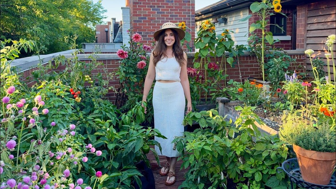 September Container Garden Tour! Growing Flowers, Vegetables & Fruit Trees On My Rooftop DeckšŖ“ September Container Garden Tour! Growing Flowers, Vegetables & Fruit Trees On My Rooftop DeckšŖ“