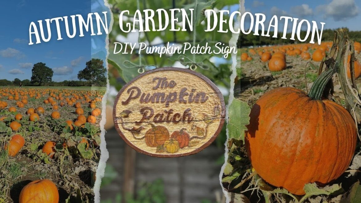 Autumn Garden Decoration - DIY Pumpkin Patch Sign!