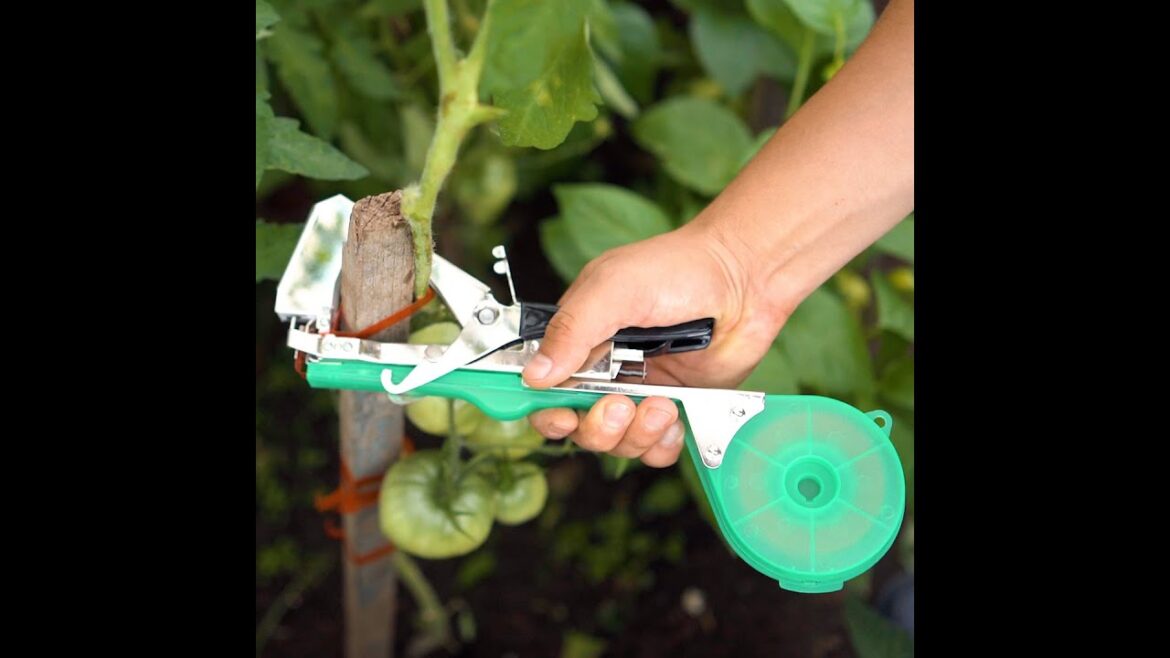 Easy up gardening with clever DIY and Amazon gadgets! ๐๐ผ #shorts Easy up gardening with clever DIY and Amazon gadgets! ๐๐ผ #shorts
