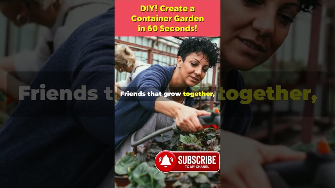 DIY! Create a Container Garden in 60 Seconds! DIY! Create a Container Garden in 60 Seconds!