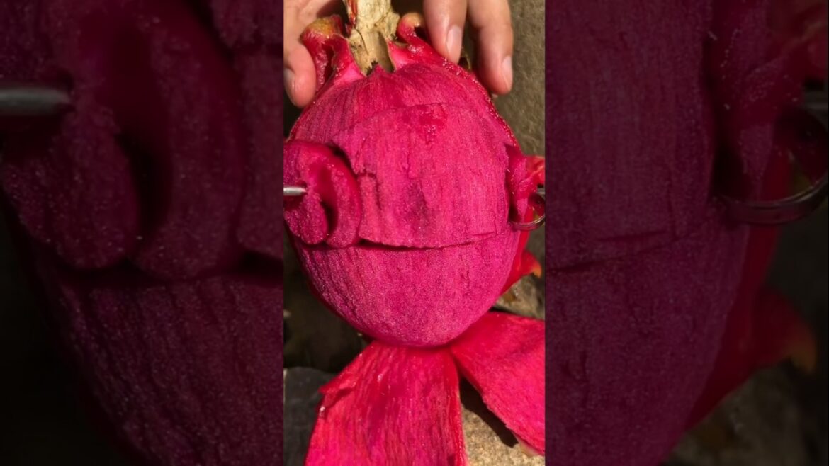 The Art of Extreme Fruit Carving