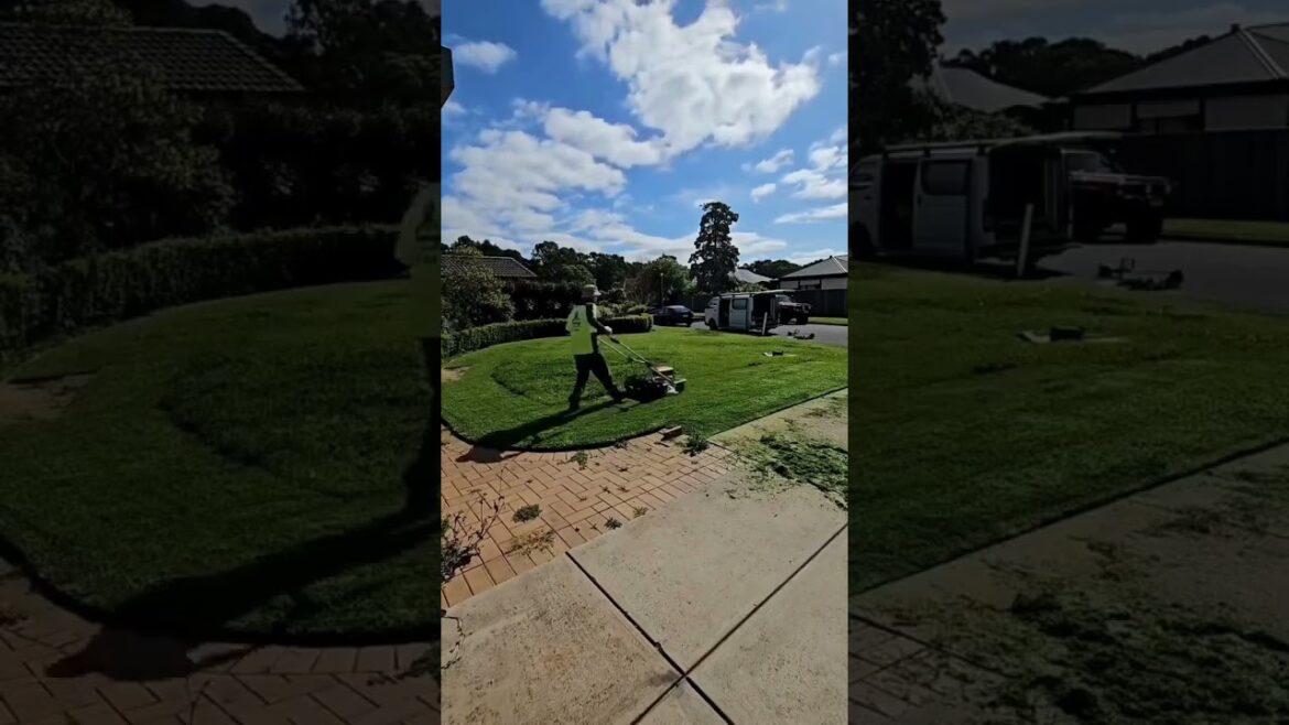 Achieve the perfect lawn with Jim's Mowing!