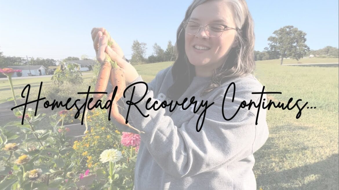 Reviving the Homestead: Garden Update, Future Patio Project, Homestead Recovery Continues Reviving the Homestead: Garden Update, Future Patio Project, Homestead Recovery Continues
