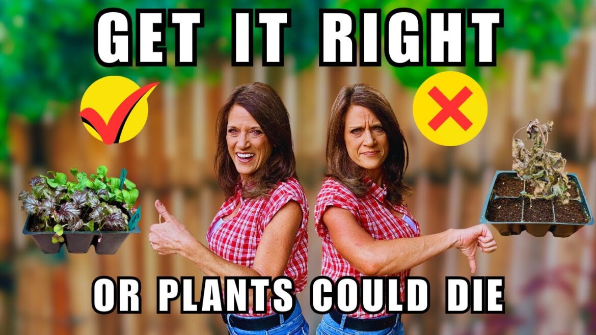 Get This Right or Your Plants Could Die