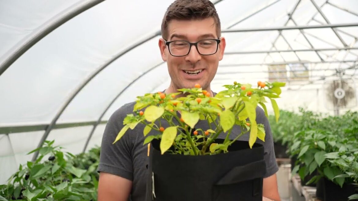 MIgardener: How Fast Does Fertilizer Take to Start Seeing Results How Fast Does Fertilizer Take to Start Seeing Results