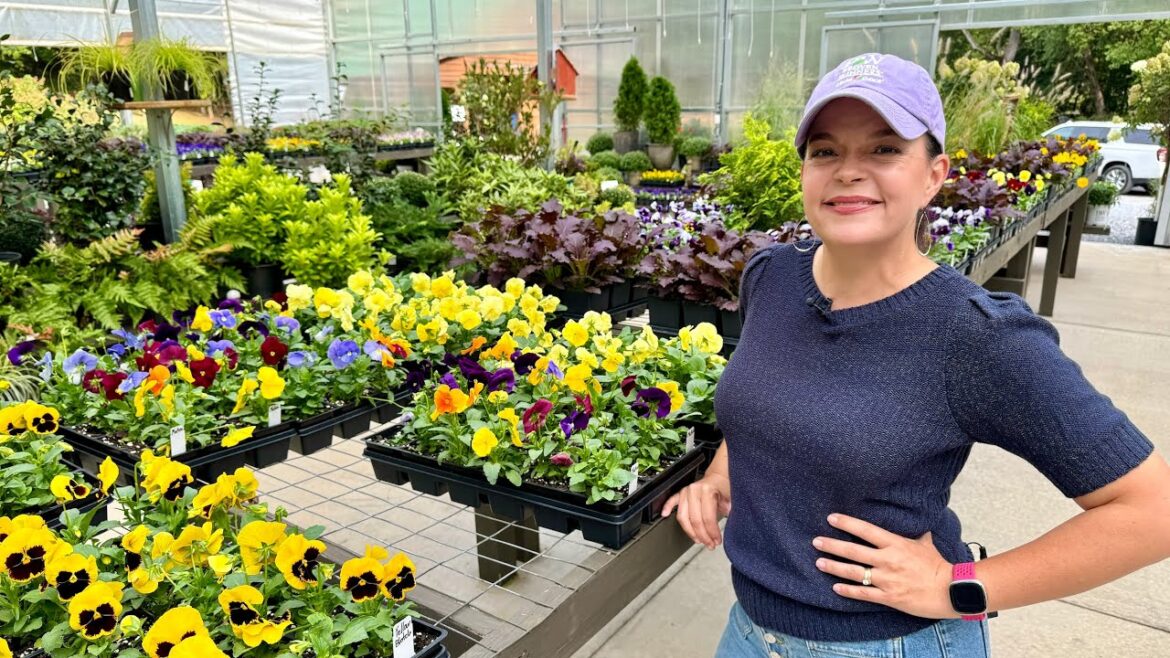 It’s Go Time For Planting & Fabulous Fall Flowers It's Go Time For Planting & Fabulous Fall Flowers