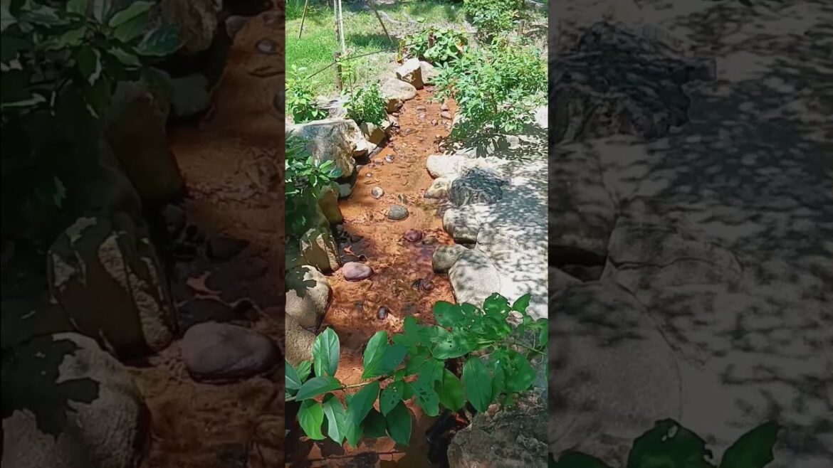 Shukkeien Garden Japan July 20240729 121213 #shorts Shukkeien Garden Japan July 20240729 121213 #shorts