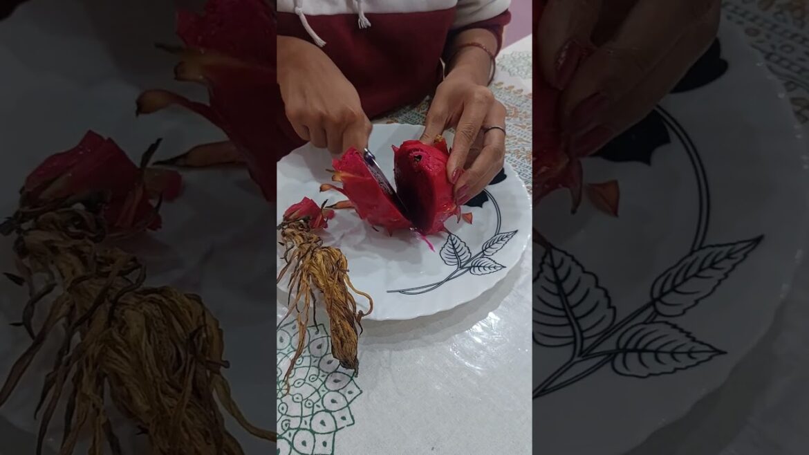 Gardeners excited moment🤩 #dragonfruitfarming #trending #shortsvideo #viralshorts #subscribe #like Gardeners excited moment🤩 #dragonfruitfarming #trending #shortsvideo #viralshorts #subscribe #like