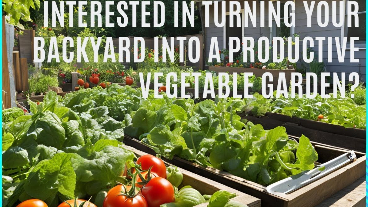 Backyard Vegetable Gardening 101!