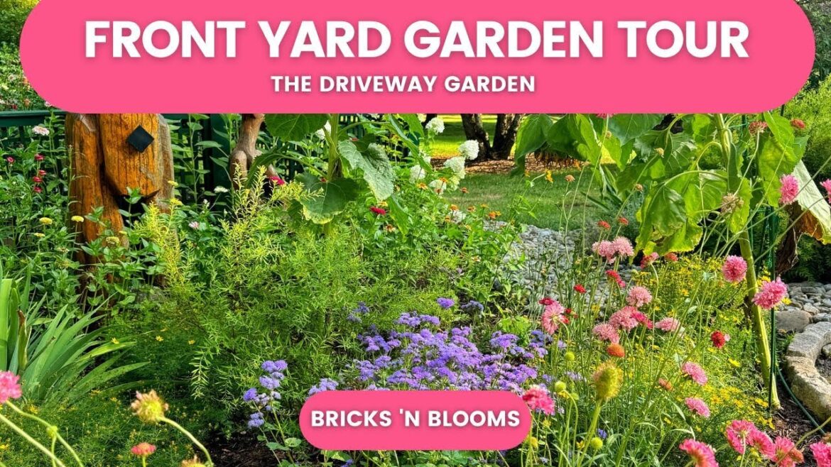 Front Yard Garden Tour // Driveway Garden // July 2024 Front Yard Garden Tour // Driveway Garden // July 2024