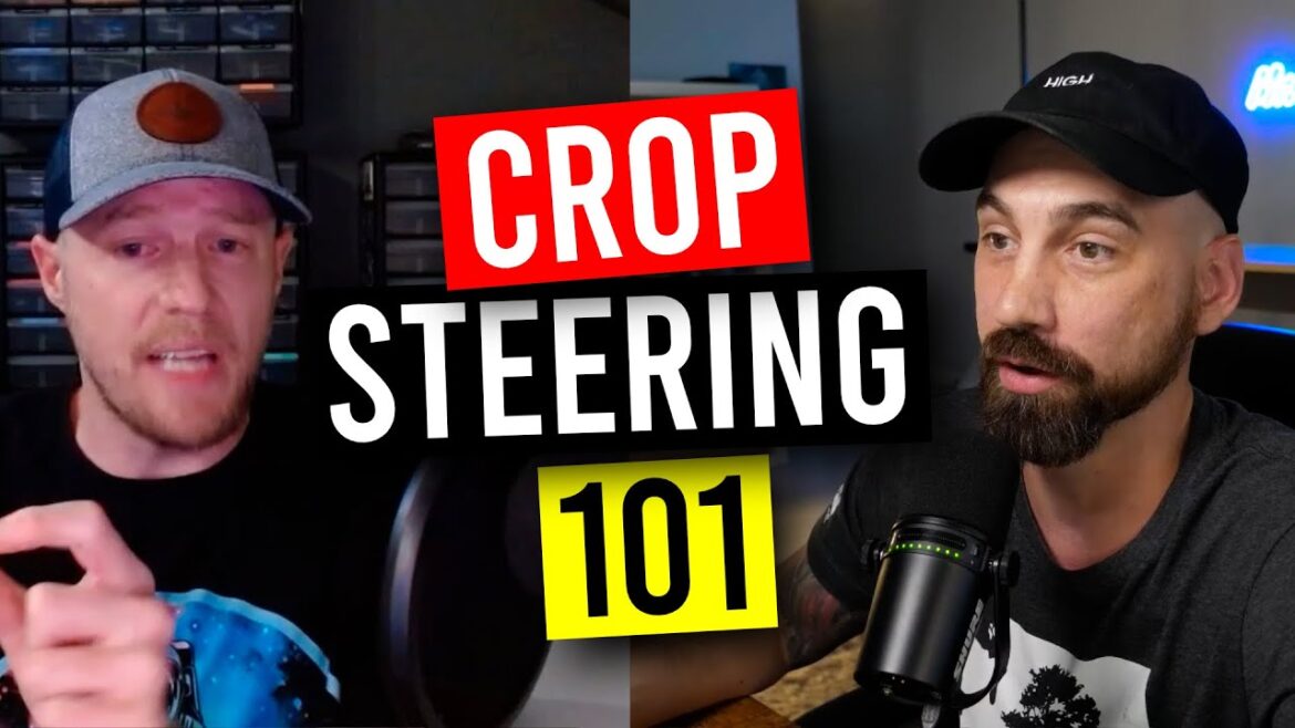 The Basics Of Crop Steering Your Plants To a Higher Quality & Yield! (Garden Talk #146) The Basics Of Crop Steering Your Plants To a Higher Quality & Yield! (Garden Talk #146)