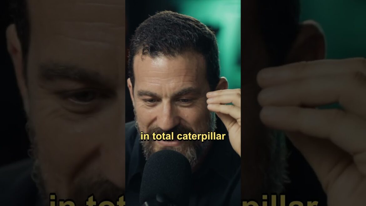 Andrew Huberman’s Spirit Animal #shorts Andrew Huberman's Spirit Animal #shorts