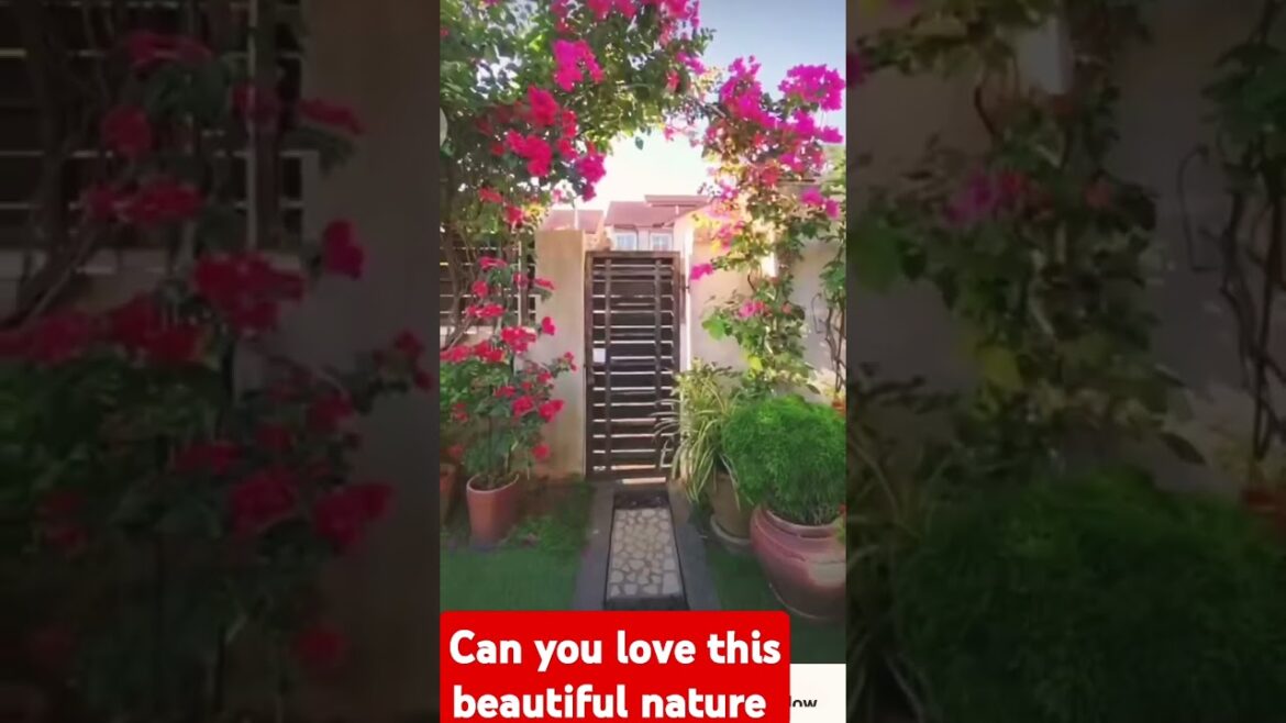 garden design | home gardening ideas #garden #homedecor #nature #shorts #viral #flowers