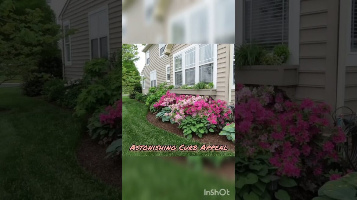 Your Favourite Classic Front Porch Landscapes |Low Maintenance Curb Yard Shrubs | Cozy Home Decor Your Favourite Classic Front Porch Landscapes |Low Maintenance Curb Yard Shrubs | Cozy Home Decor