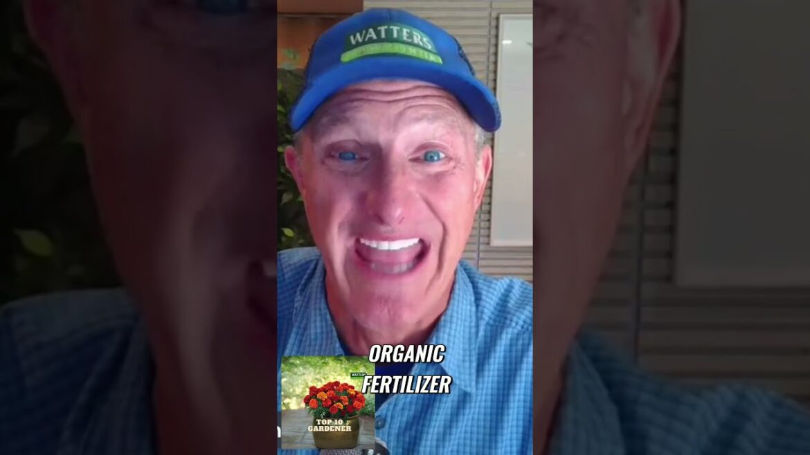 Transforming Sheep Wool into Organic Fertilizer