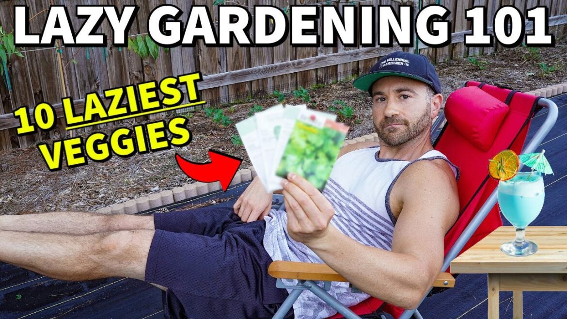 The 10 Laziest Vegetables LAZY GARDENERS Will Love Growing NOW! The 10 Laziest Vegetables LAZY GARDENERS Will Love Growing NOW!