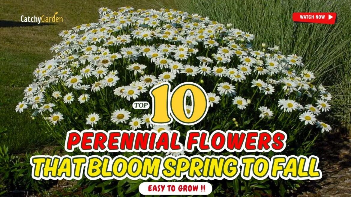 TOP 10 Long FLOWERING Plants That Bloom from SPRING, SUMMER and FALL 🌼🍃 (EASY to GROW)