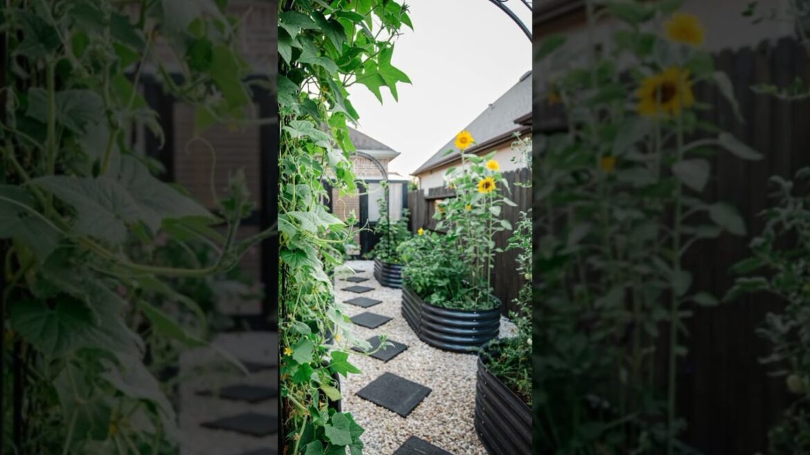 Modern Front Yard Landscaping Design ideas #myfirsthome #gardendesign