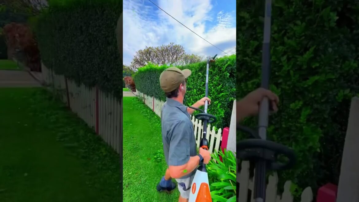 Satisfying garden work 🍀🍀#GardenWork  #shorts #gardening #satisfying #work #gardenwork #grass