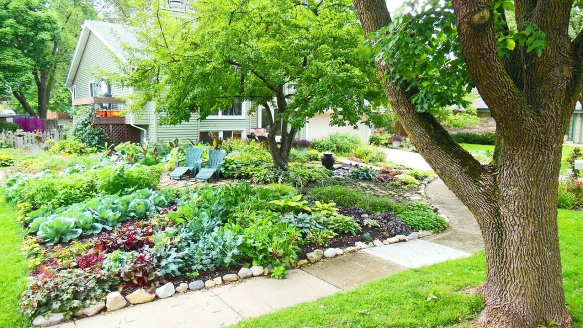 FRESH! 100+ BACKYARD VEGETABLE GARDEN IDEAS | FRESH SMALL YARD HOMEGROWN EDIBLE PLANTS GARDEN TIPS FRESH! 100+ BACKYARD VEGETABLE GARDEN IDEAS | FRESH SMALL YARD HOMEGROWN EDIBLE PLANTS GARDEN TIPS