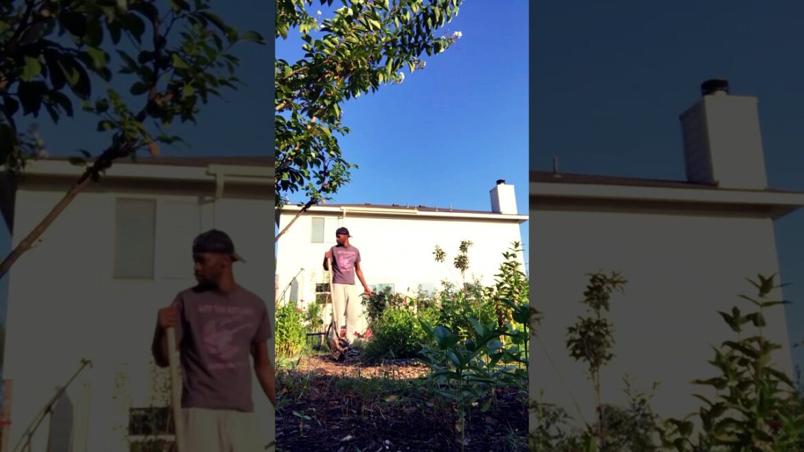 God’s Garden #inspiration #gardening #farming