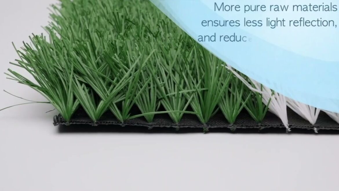 Green Oasis: Sustainable Decor and Fitness Solutions for a Healthy Lifestyle