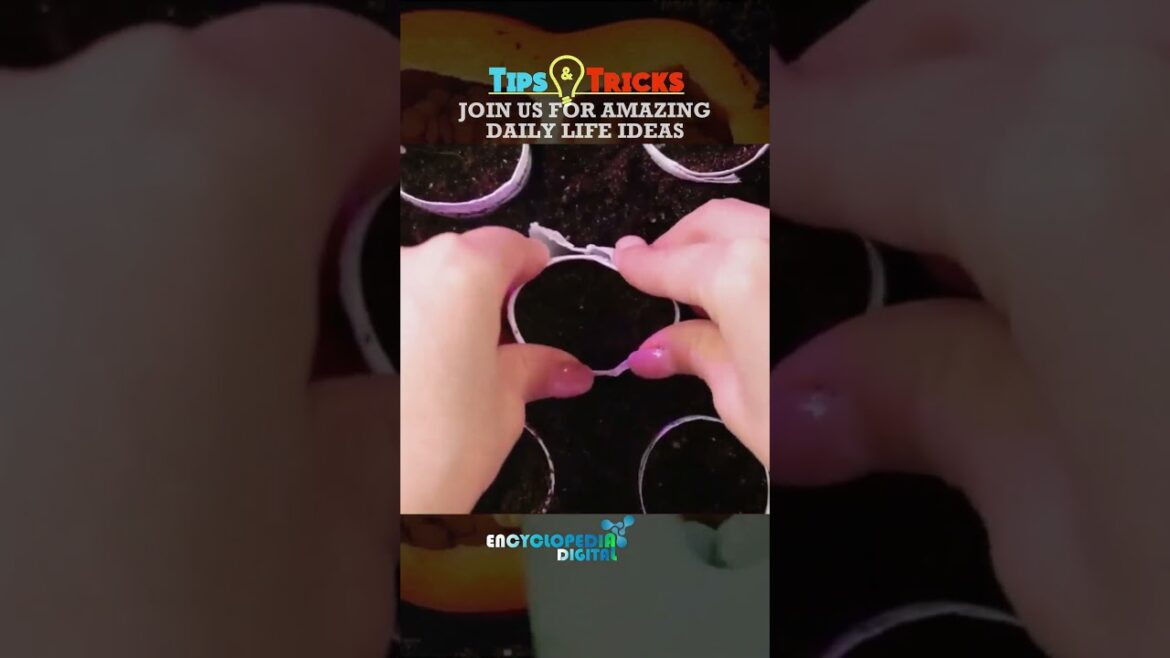 New Trending Videos 2024 | 100% Viral Shorts | Trends Continues #Shorts #Viral #Trending