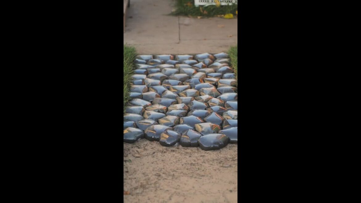 3 Simple Ideas to Transform Your Garden into a Green Haven 🌱