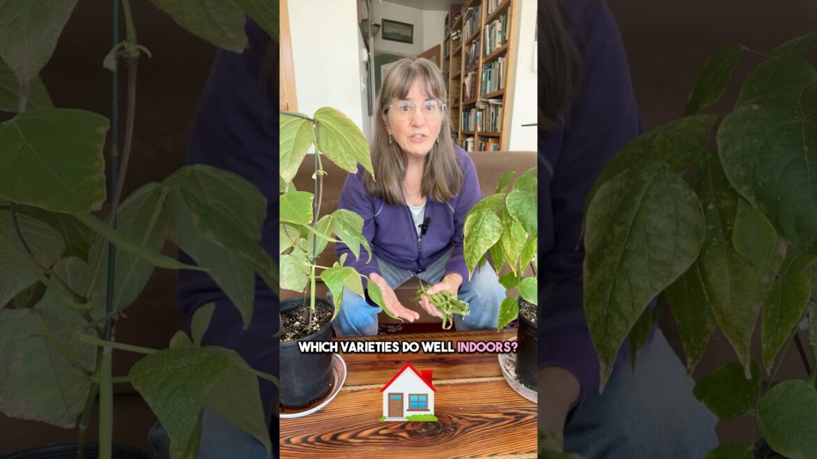 Do You Suffer From Seasonal Depression? Try Growing These On Your Windowsill