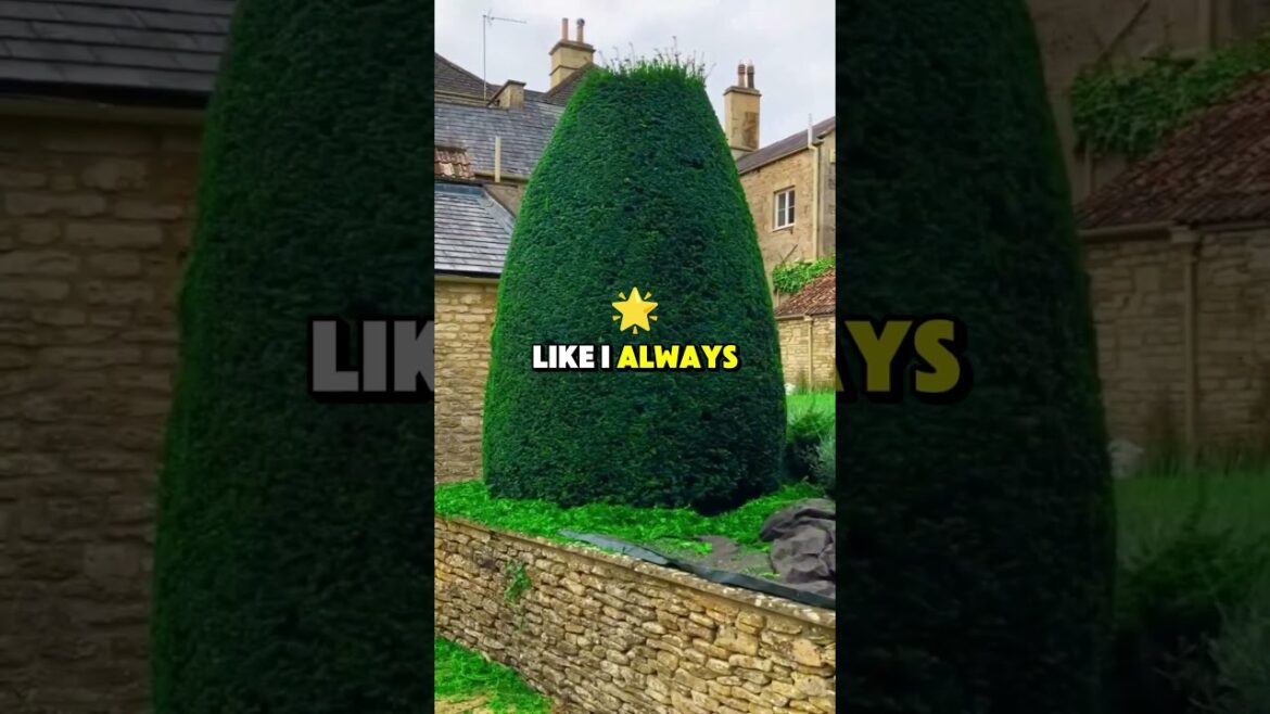 What’s the One Thing You Wish You Could’ve Said?