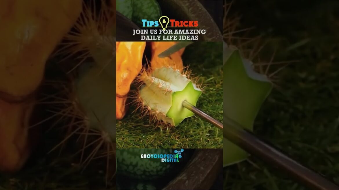 New Trending Videos 2024 | 100% Viral Shorts | Trends Continues #Shorts #Viral #Trending New Trending Videos 2024 | 100% Viral Shorts | Trends Continues #Shorts #Viral #Trending