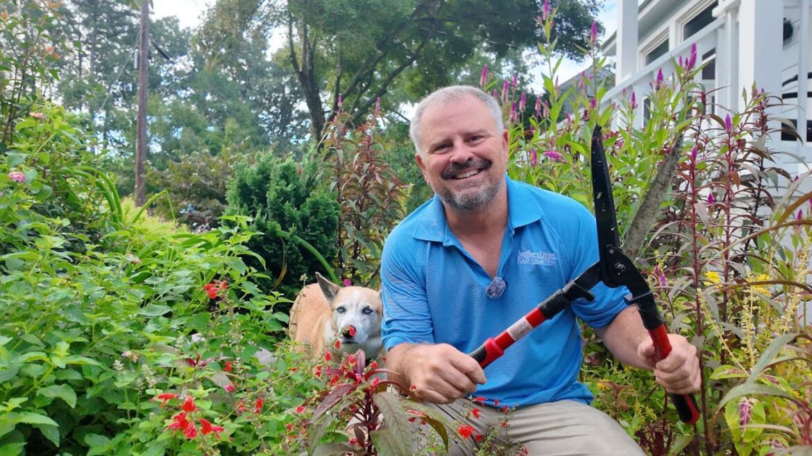 Taming the Wild Garden Taming the Wild Garden