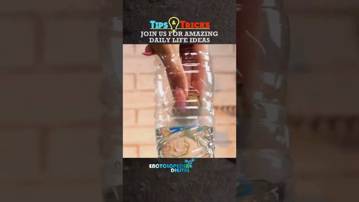 New Trending Videos 2024 | 100% Viral Shorts | Trends Continues #Shorts #Viral #Trending New Trending Videos 2024 | 100% Viral Shorts | Trends Continues #Shorts #Viral #Trending