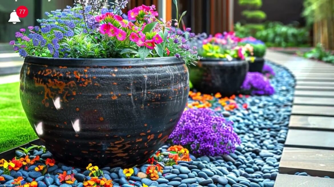 Creative and Unique Ideas – minimalist front yard landscaping Creative and Unique Ideas - minimalist front yard landscaping