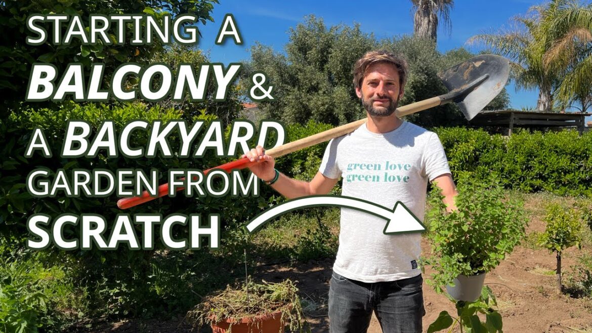 Starting a Balcony Garden & a Backyard Garden from scratch! Starting a Balcony Garden & a Backyard Garden from scratch!