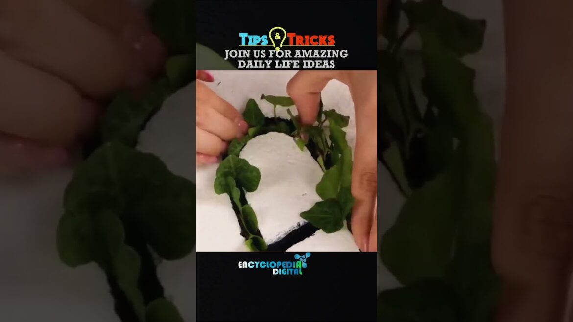 New Trending Videos 2024 | 100% Viral Shorts | Trends Continues #Shorts #Viral #Trending