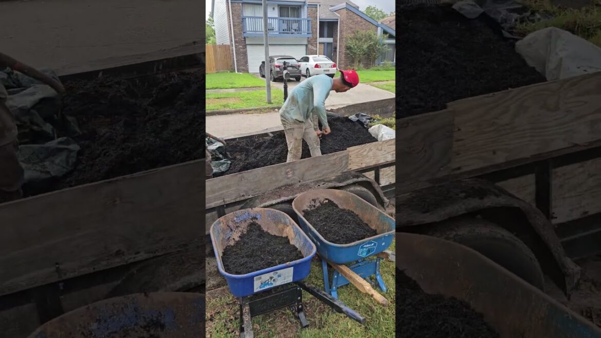 Relaxing Front Yard ASMR Transformation